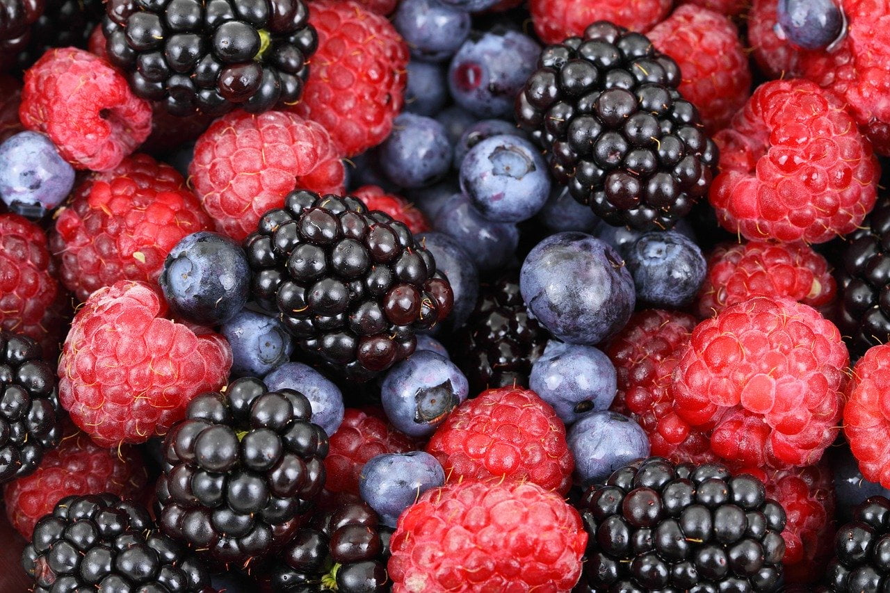 background, berries, berry